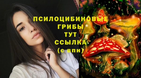 меф Алзамай