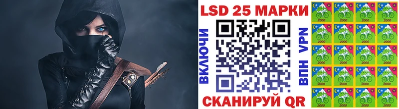 купить наркотики сайты  Елизово  Марки 25I-NBOMe 1,8мг 
