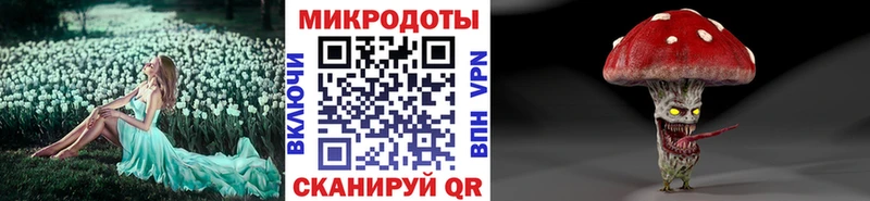 Галлюциногенные грибы Magic Shrooms гидра ссылка Елизово продажа наркотиков
