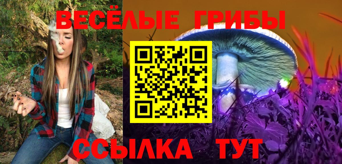 дарнет шоп  Псилоцибиновые грибы Magic Shrooms  Вход с VPN  Псилоцибиновые грибы Cubensis  Елизово 
